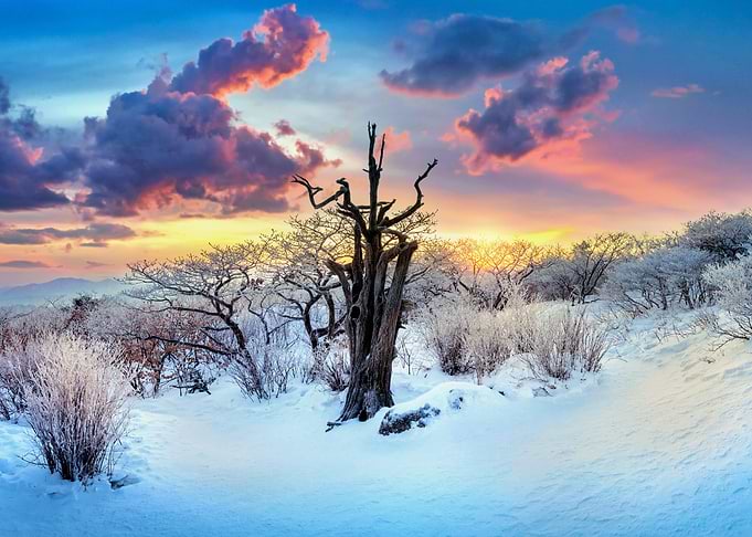 Landscape