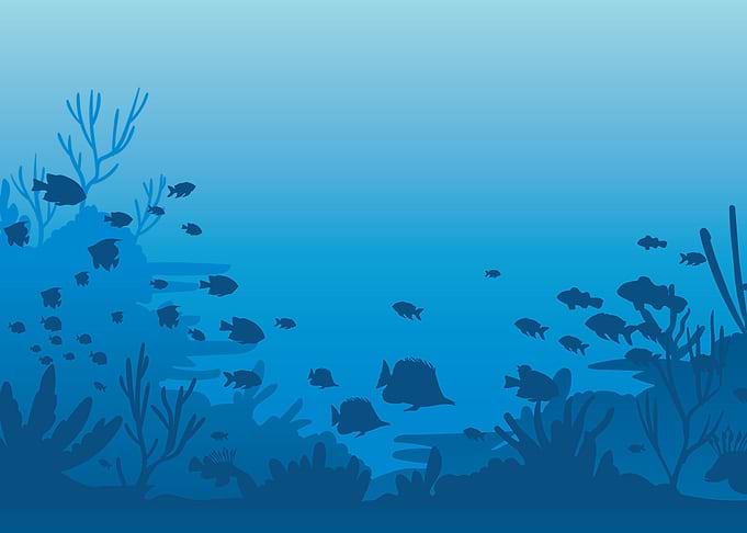 UnderWater Landscape