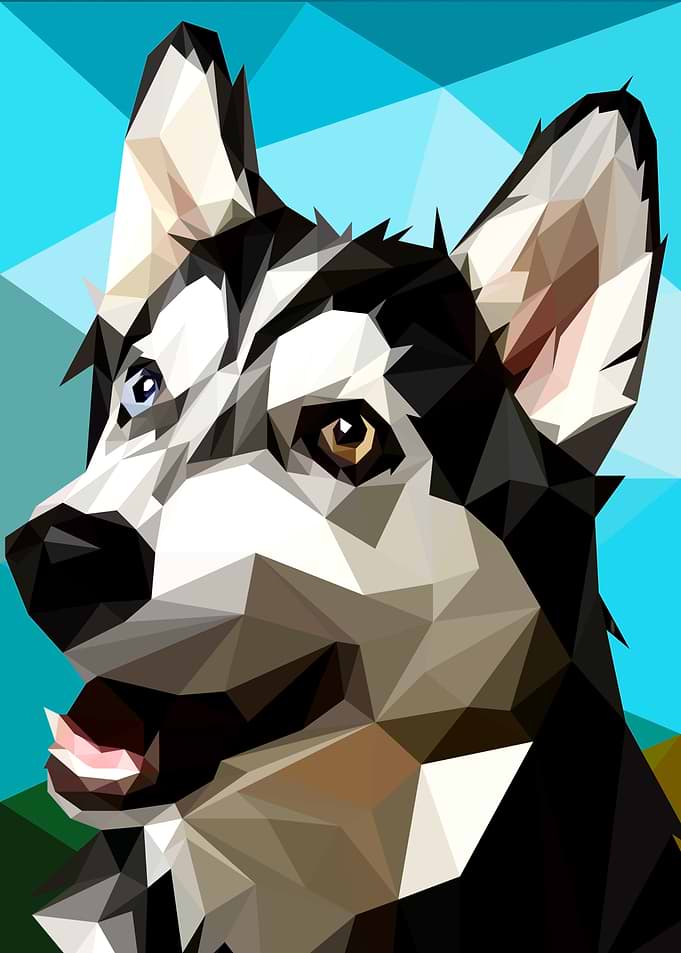 Husky