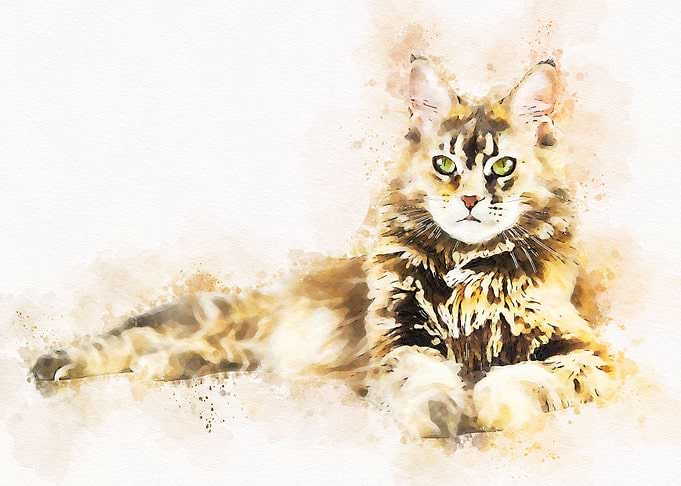 Cute Cat Watercolor