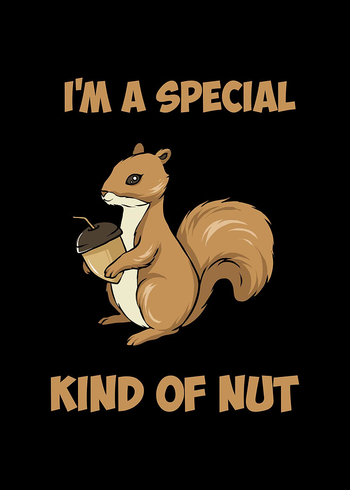 Cute Squirrel