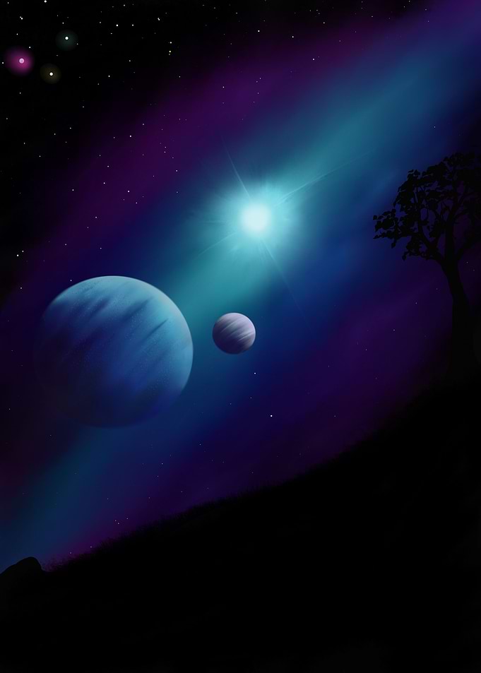 Dreamy Stargazer