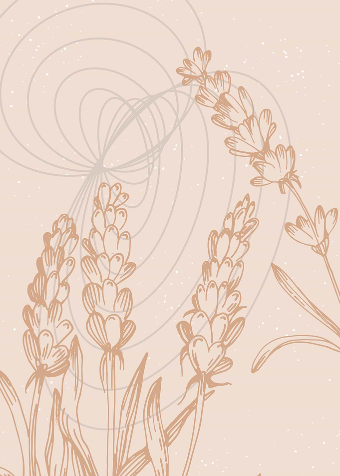 Lavender Abstract