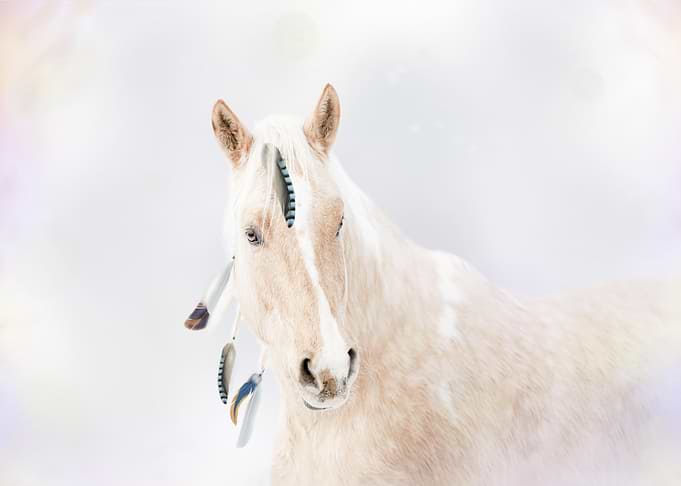 Mystic Animal Pictures