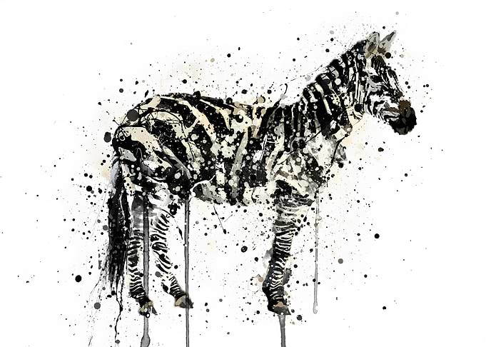 Watercolor Zebra
