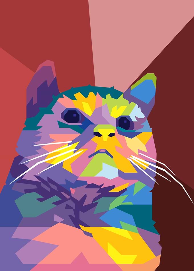 pathetic cat