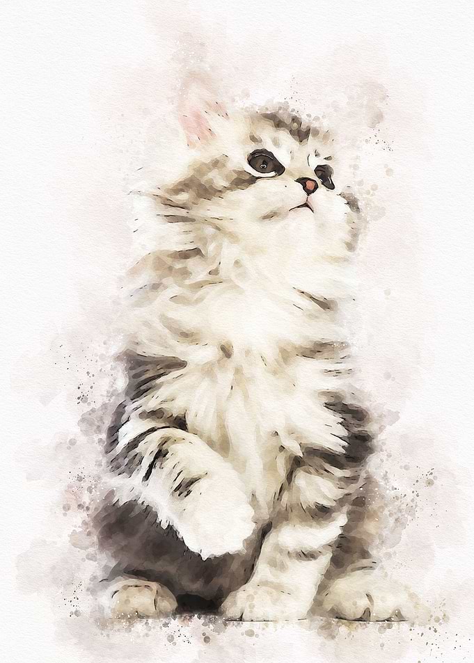 Cute Cat Watercolor