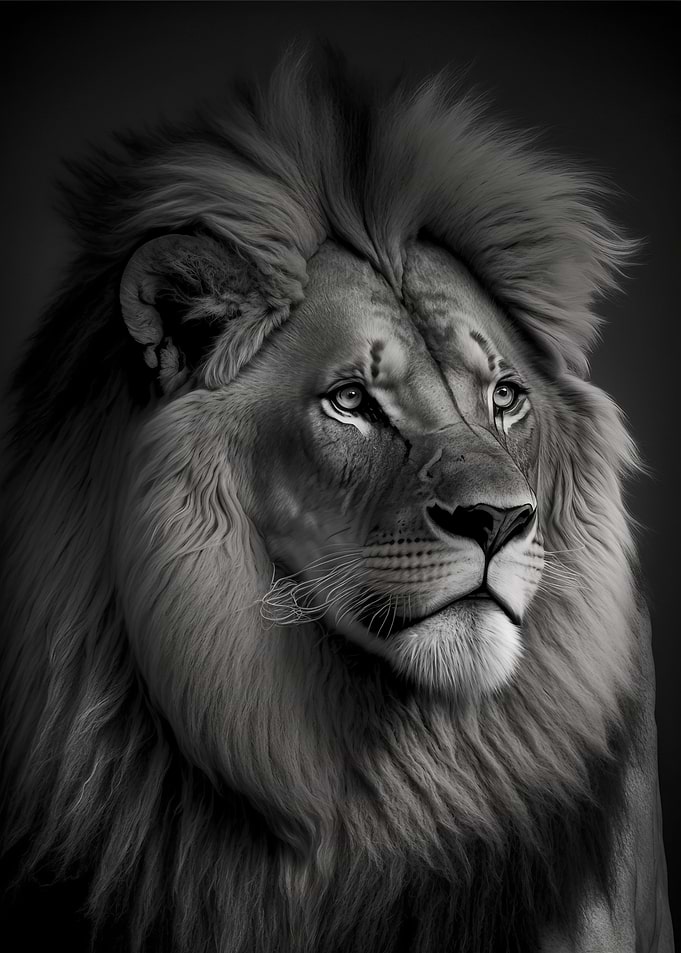 Portrait of a Lion