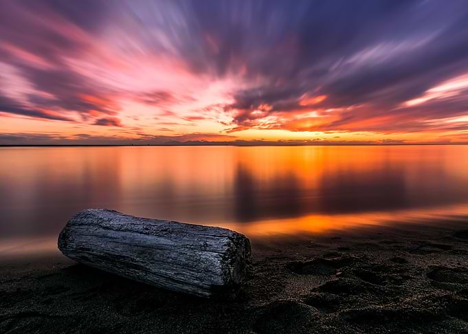 Fossil Log dazzling sunset