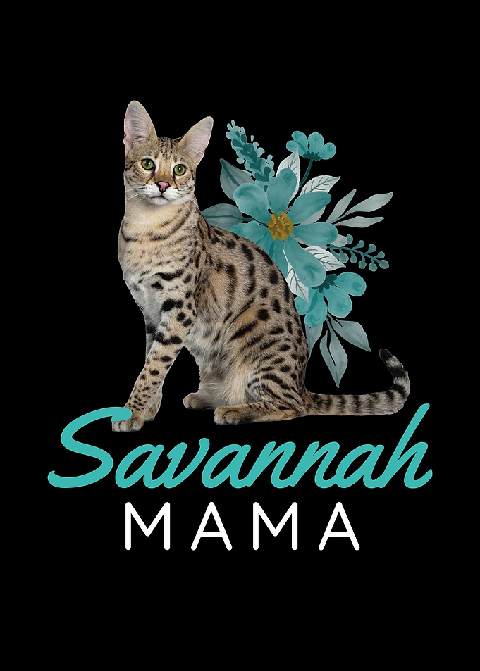 Savannah Mom Savannah Cat