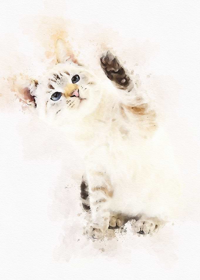 Cute Cat Watercolor