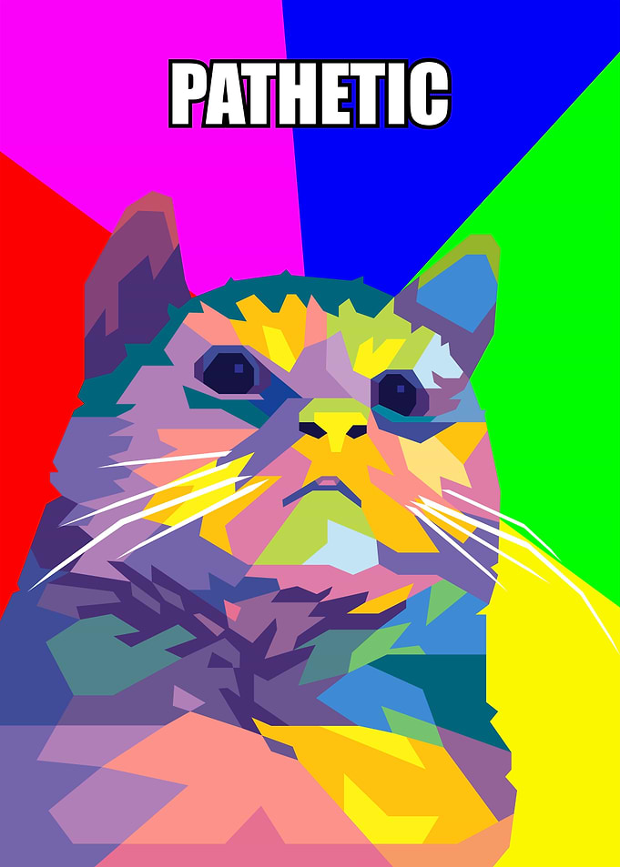 pathetic cat meme