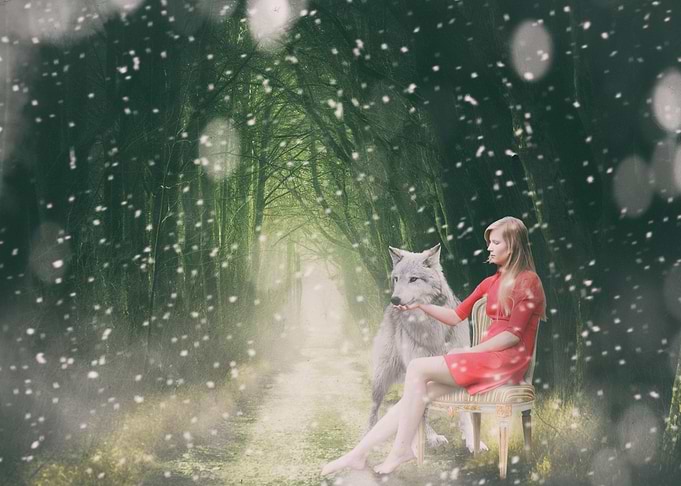 Mystic Animal Pictures