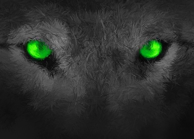 the green eyes