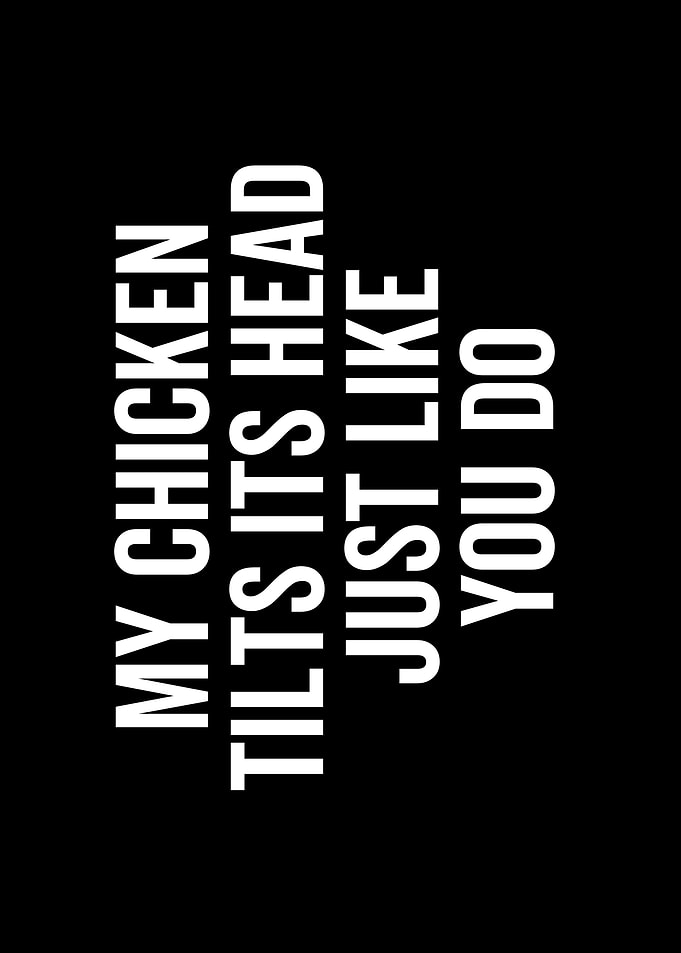 My Chicken Tilts Its Head