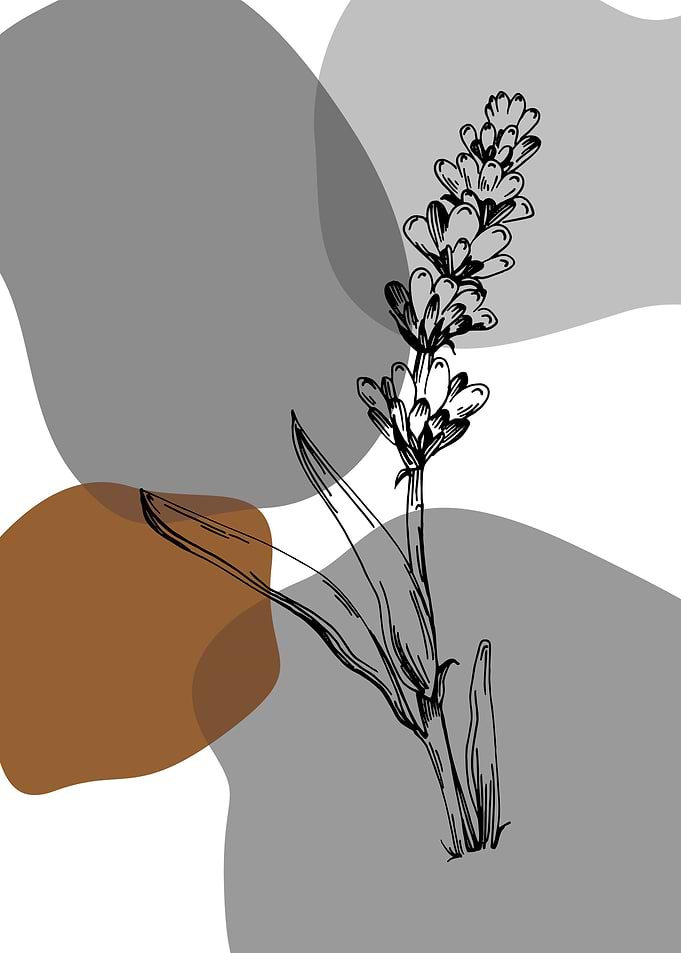 Lavender Simple