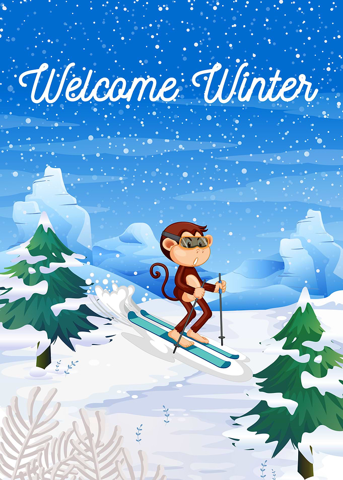 Monkey Skiing in Winter