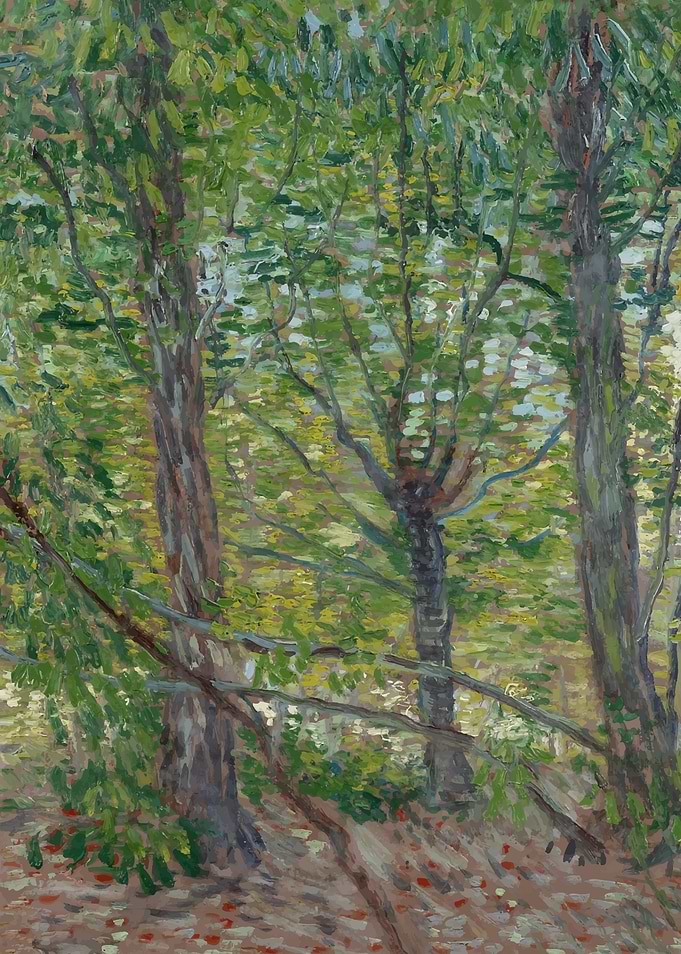 Vincent Van Gogh