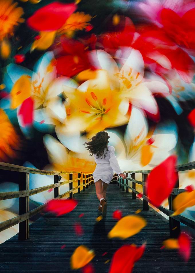 The Path To The Flowers