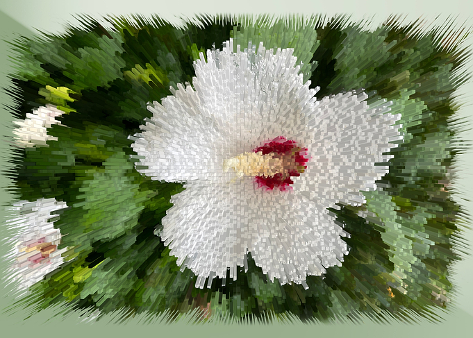 White flower puzzle