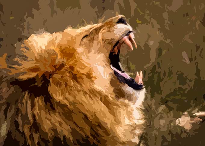the roar