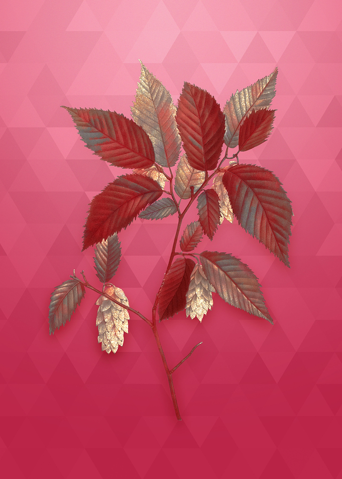 Gold American Hophornbeam