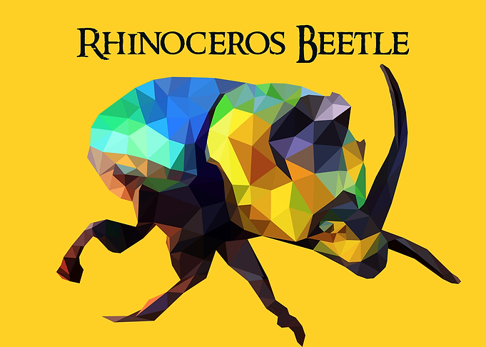 Rhinoceros Beetle
