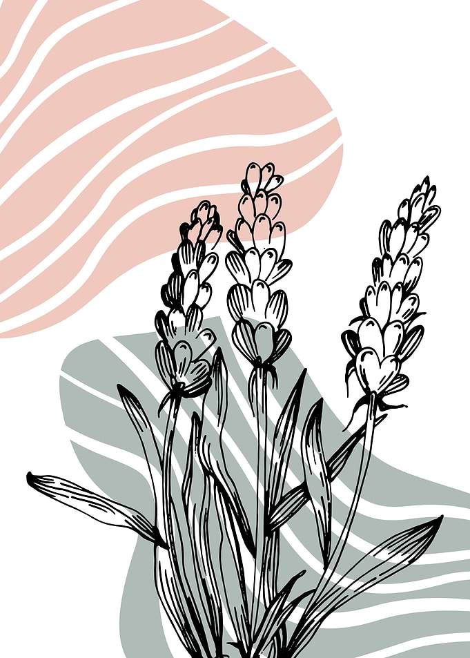 Lavender Neutral