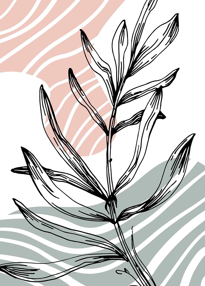 Lavender Simple