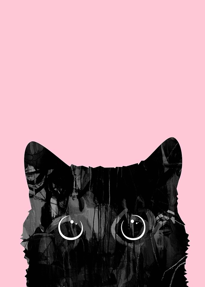 Cat 01