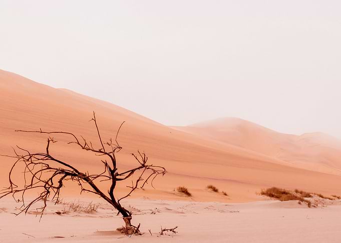 Dry Desert
