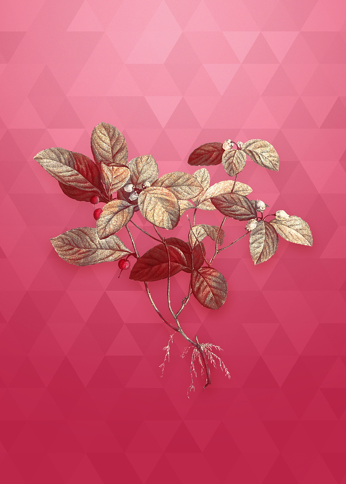 American Wintergreen Plant
