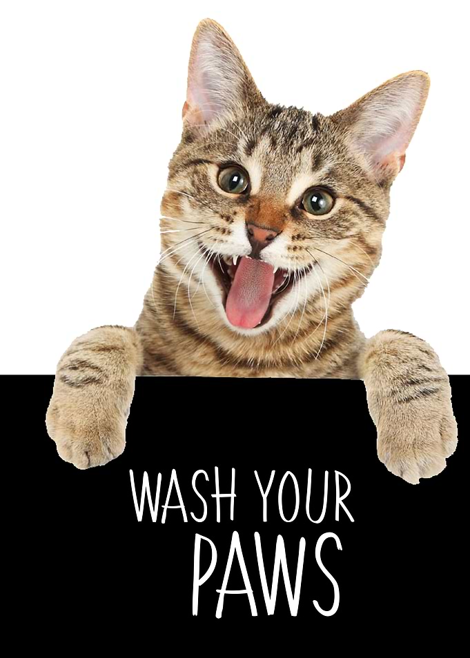 WASH YOUR PAWS BENGAL