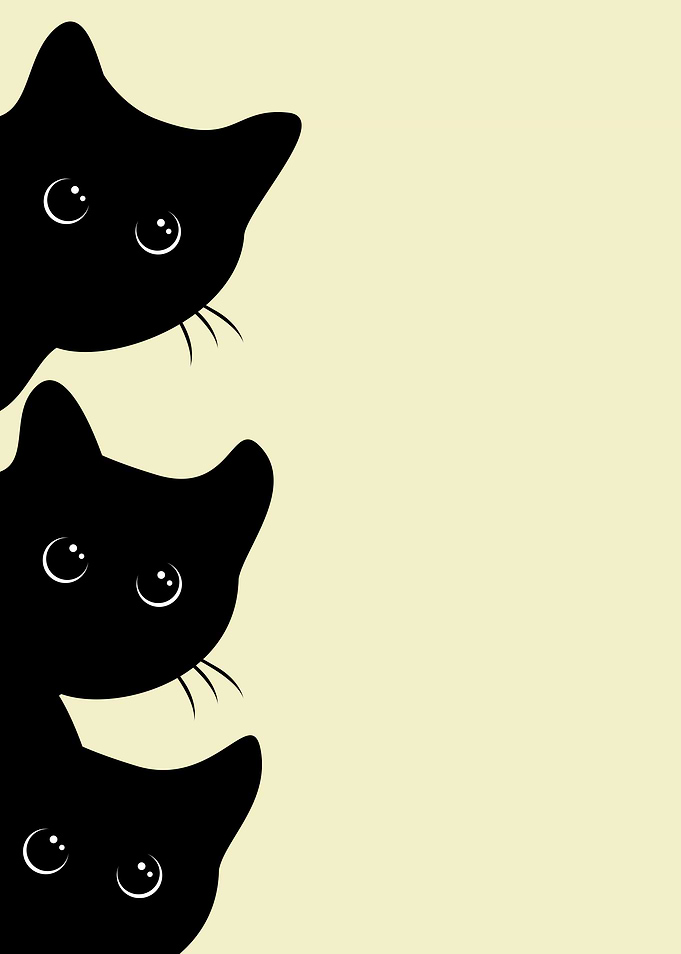 Three Kittens