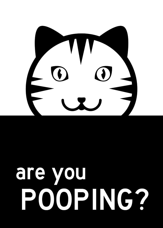 Funny Bathroom Cat Poop