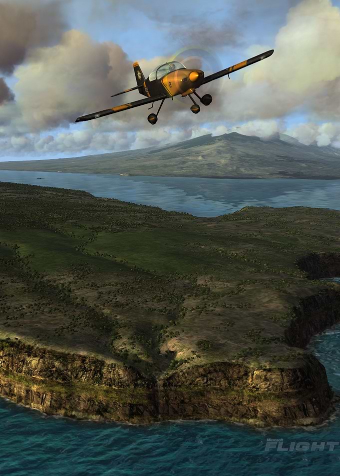 Aircraft Microsoft Flight