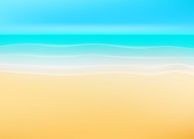 Beach Landscape