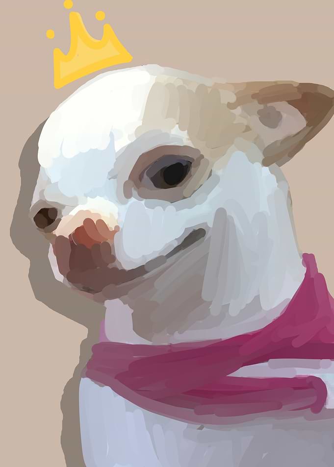 meme smile dog funny