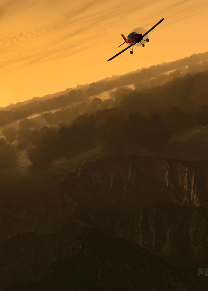 Aircraft Microsoft Flight