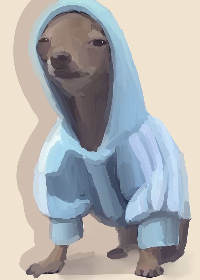 hoodie blue dog