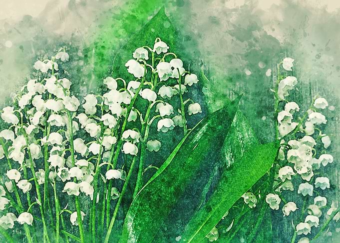 white flower watercolor