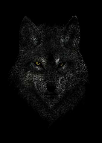 Wolf Gold Eyes Lines
