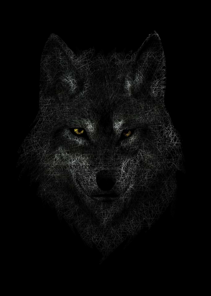 Wolf Gold Eyes Lines