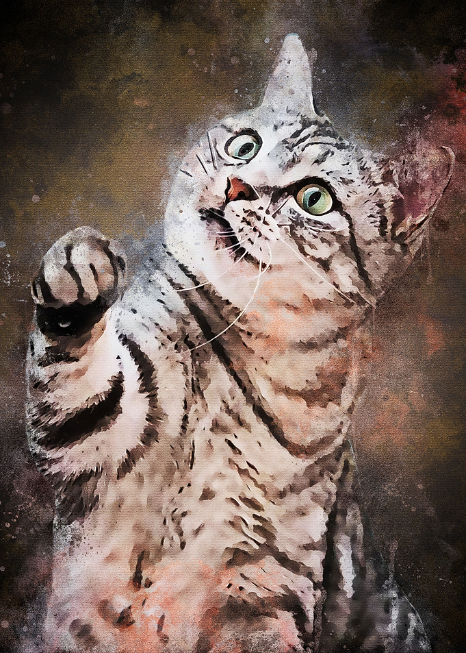 Splatter Cute Cat