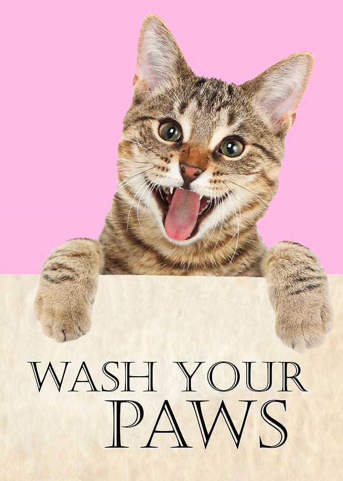 WASH YOUR PAWS PINK