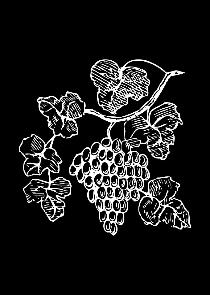 grapes