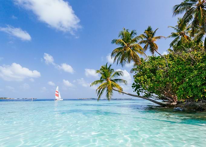 Sail boat on tropical sea
