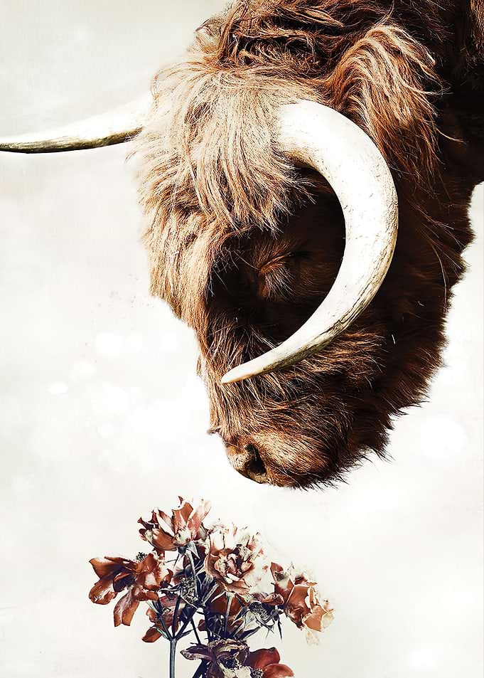Highlander Horns Flower