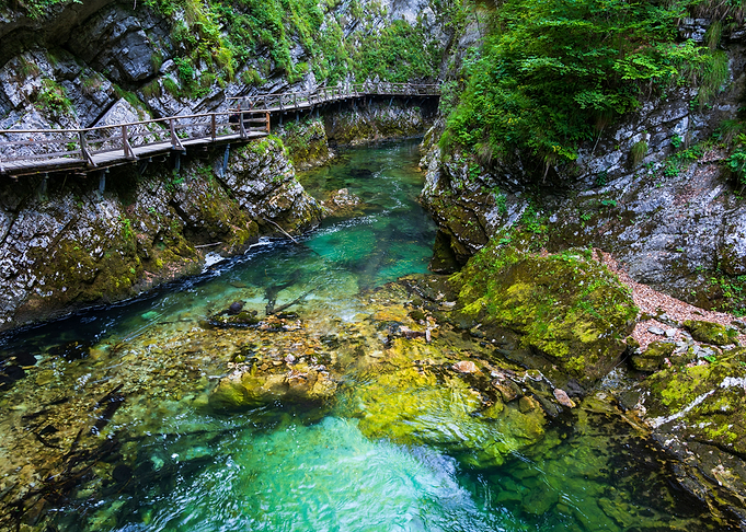 Vintgar Gorge In Slovenia