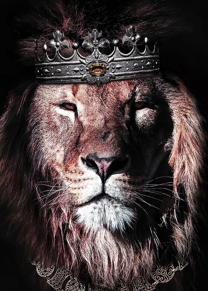 Lion King Crown